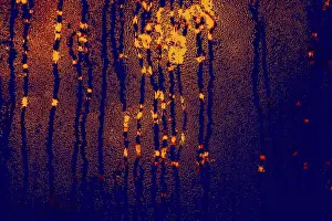 Category Historic EN Prints: Background covered with water drops in close-up view