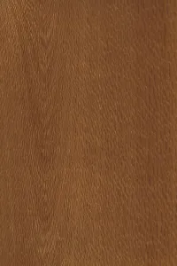 Background of wood grain from Knightia excelsa
