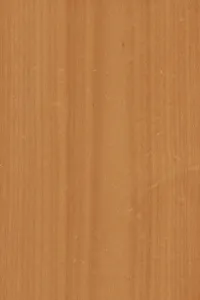 Background of wood grain from Tawa