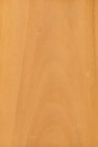 Background of wood grain from tawhai