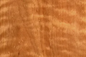 Background of wood grain from tawhai raunui