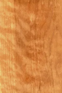 Background of wood grain from tawhai raunui