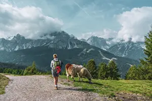 Backpacker and llamas on hiking trails in the Dolomites