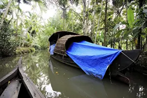 Backwater, Ernakulam, Kerala, India