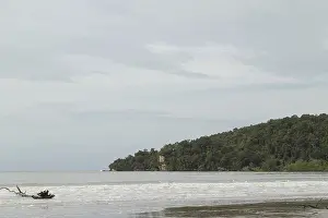 Bako national park, sea sandy beach