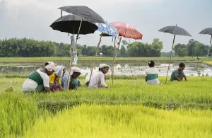 BAKSA, INDIA- JULY 12