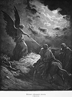 Balaam's or Balaam's donkey