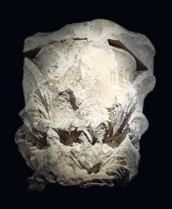 Balkh (Ancient Greek: Baktra or Zariaspa)