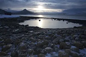 Category Scandinavia Prints: Balsfjord, Tromso, Tromsoe, Norway, Europe