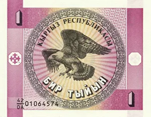 Banknote from Kyrgyzstan, 1 Tyin, 1993
