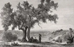 Banks of the Lake Nemi, Metropolitan City of Rome