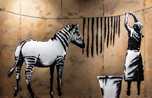 Banksy - Washing Zebra Stripes