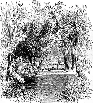 Banquet in the Botanical Garden of Saint-Pierre Martinique