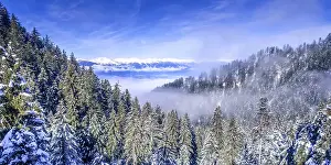 Bansko, Bulgaria winter mountains banner vacation background with snow covered pine trees aerial view