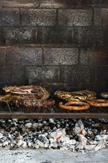 Barbecue grill with different meats