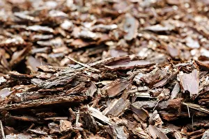 Bark mulch