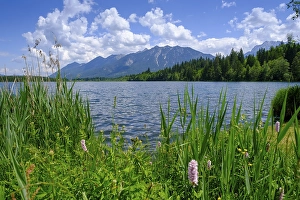 Barmsee, Karwendel mountains in the background