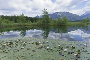 Barmsee near Krun, bathing