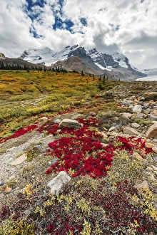 Barren Landscape, Glacial Valley