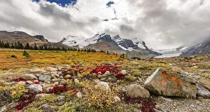 Barren Landscape, Glacial Valley