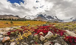 Barren Landscape, Glacial Valley