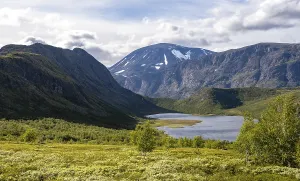 Barren mountain landscape with lake and birch trees