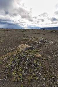 Barren stony volcanic landscape at Kjalvegur Kjolur