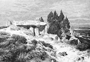 Barrow on the Lueneburg Heath, juniper