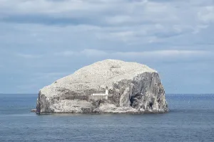 Bass Rock, volcanic rocks and gannet colony in the Firth of Forth at North Berwick