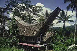 Batak Toba house in the Sumatra jungle, Indonesia
