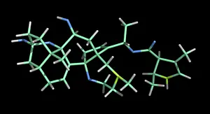 Batrachotoxin Molecule from a Golden Poison Frog (Phyllobates terribilis)