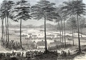 Battle of Cerro del Borrego, Orizaba