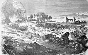 The battlefield at Sedan on the Chaussee above Givonne on the evening of September 1st