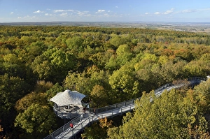Baumkronenpfad treetop trail in autumn