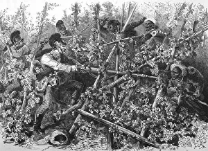 Bavarian infantry battling Turcos and Znaben in the hop fields near Weissenburg