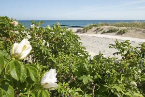 Beach access, beach, Baltic Sea