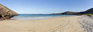 Category Historic EN Prints: Beach, bay, Cormorant Point, Galapagos, Ecuador