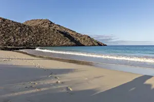 Category Historic EN Prints: Beach, bay, Cormorant Point, Galapagos, Ecuador