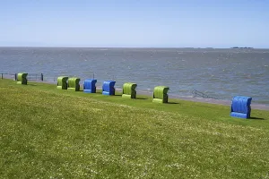 Beach chairs on a blooming meadow on the North Sea coast