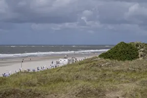 Beach chairs on the sandy beach