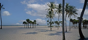 Beach at Crandon Park, palm trees, Miami, Florida, USA, North America