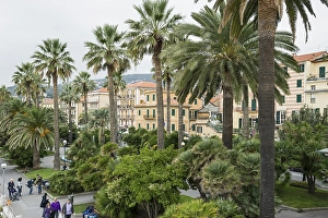 Beach promenade lined with palm trees