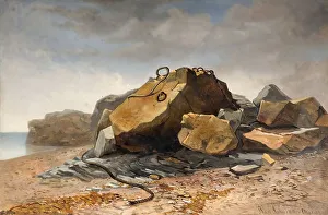 Beach, rocks and a washed up dew in the sand