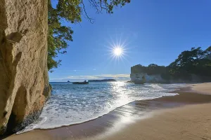 Beach with sunlight and trees in the background