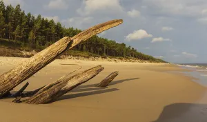 Beach at sunrise, close to Stegna