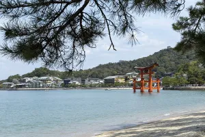 Beach with surf and torii in the water