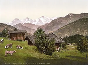 Beatenburg, Beatenberg, View of Jungfrau