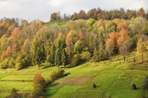 Framed Print : Beautiful country autumnal landscape in Carpathian mountains