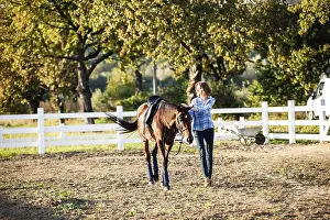 Beautiful girl leading her brown horse at the farm