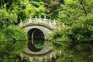 Beautiful Japanese garden